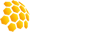 Hive